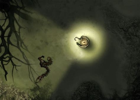 darkwood odd meat|Centipede .